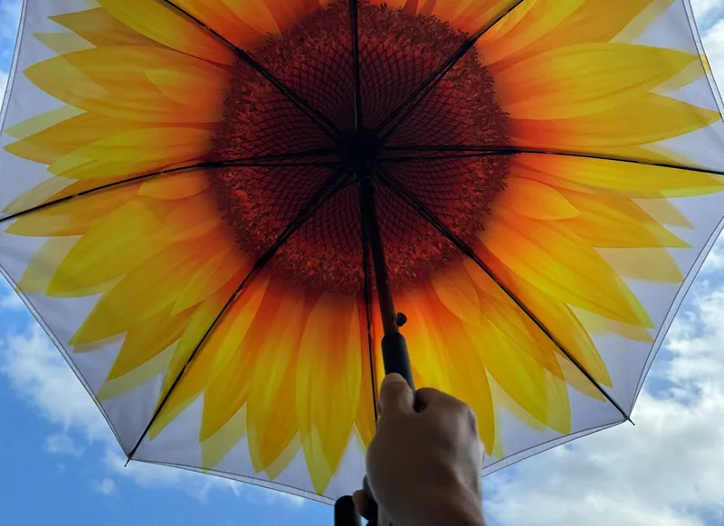 Sunflower Umbrella