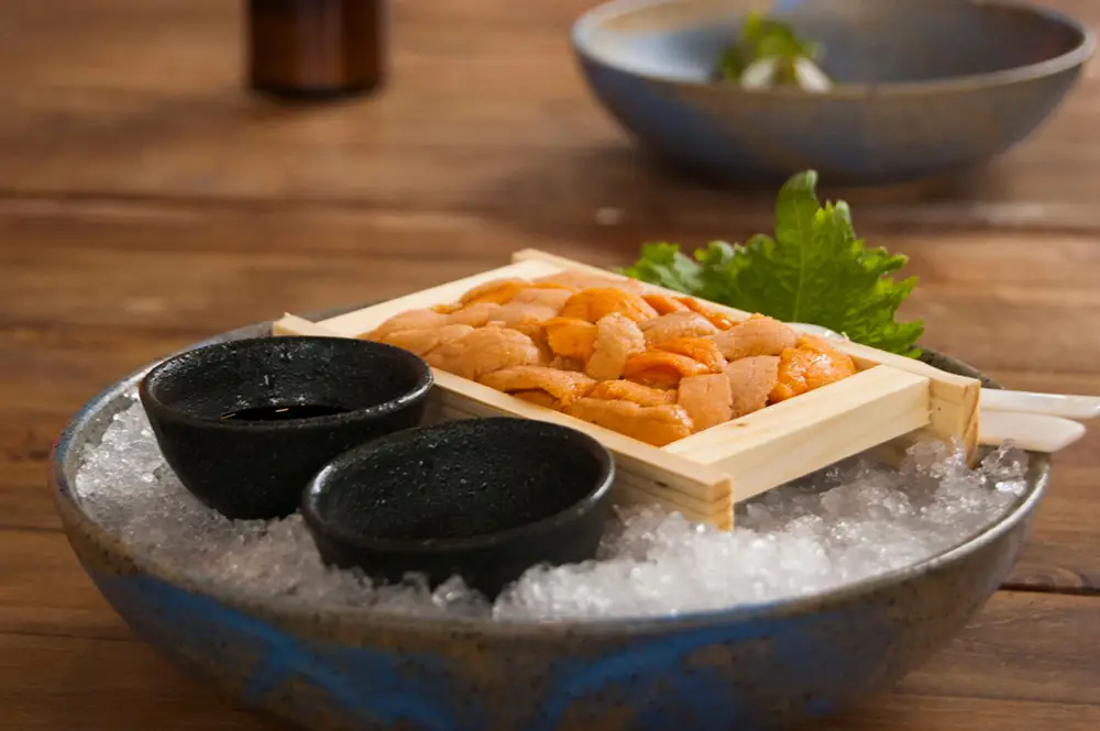 Plate of Japanese Food